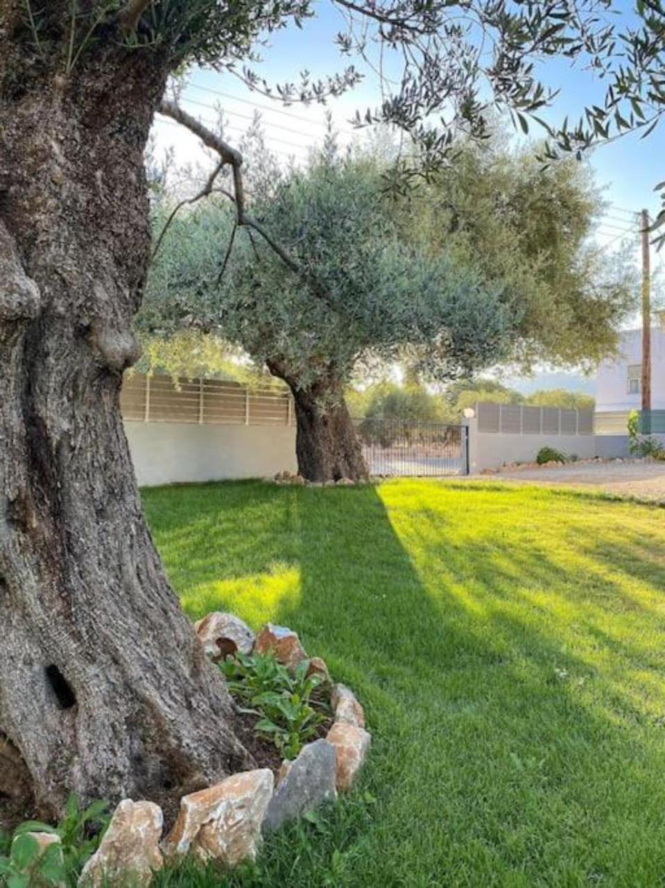Olives Villa Sinoikismos Kambos Exteriör bild