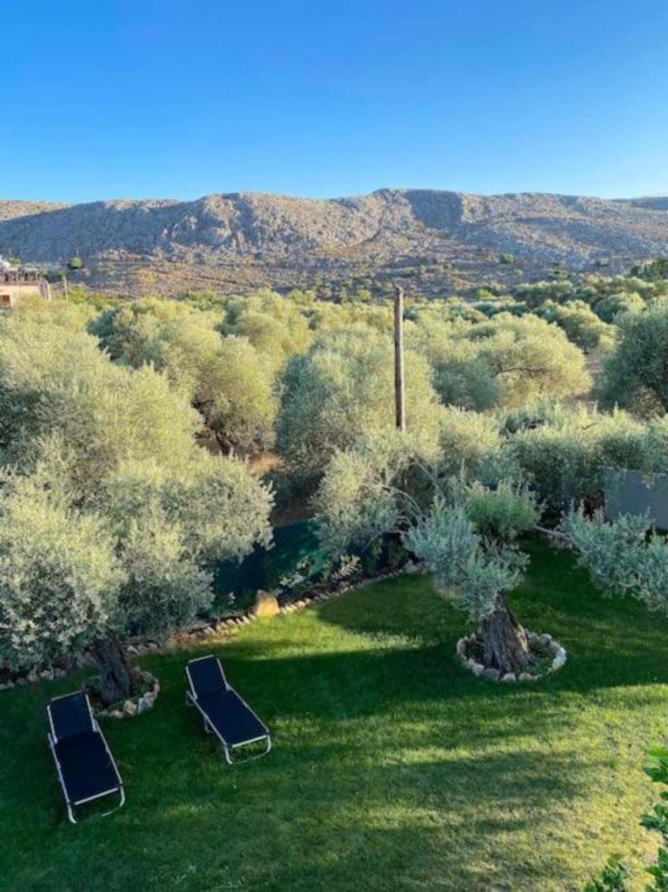 Olives Villa Sinoikismos Kambos Exteriör bild