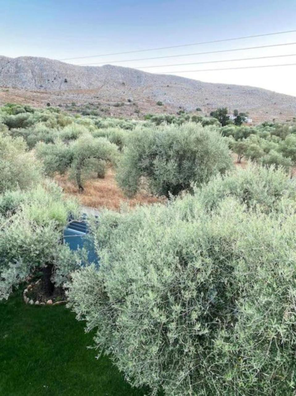 Olives Villa Sinoikismos Kambos Exteriör bild